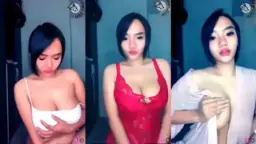 Cantik Toge Sunflower MangoLive